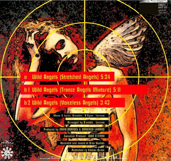 Missing Heart : Wild Angels (12", Maxi)