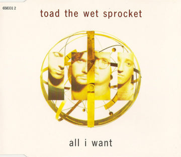 Toad The Wet Sprocket : All I Want (CD, Single)