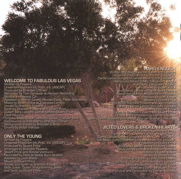 Brandon Flowers : Flamingo (CD, Album)