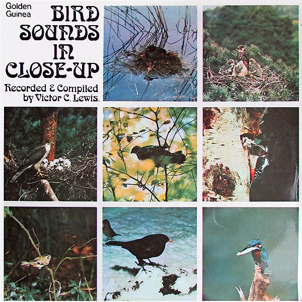 Victor C. Lewis : Bird Sounds In Close Up (LP, Album, Mono)