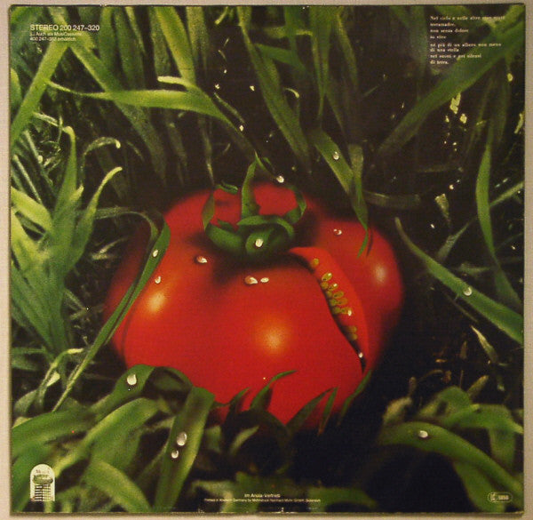 Banco Del Mutuo Soccorso : ...Di Terra (LP, Album)