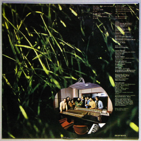 Banco Del Mutuo Soccorso : ...Di Terra (LP, Album)