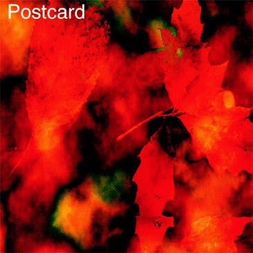 Postcard : Postcard (CD, Album)