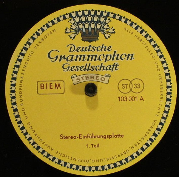 Various : Stereo Einführungsplatte (10", Comp)