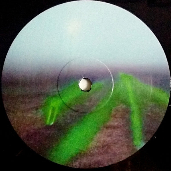 Pavel Milyakov : Project Mirrors (LP)
