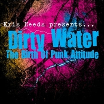 Various : Dirty Water: The Birth Of Punk Attitude (2xLP, Comp)