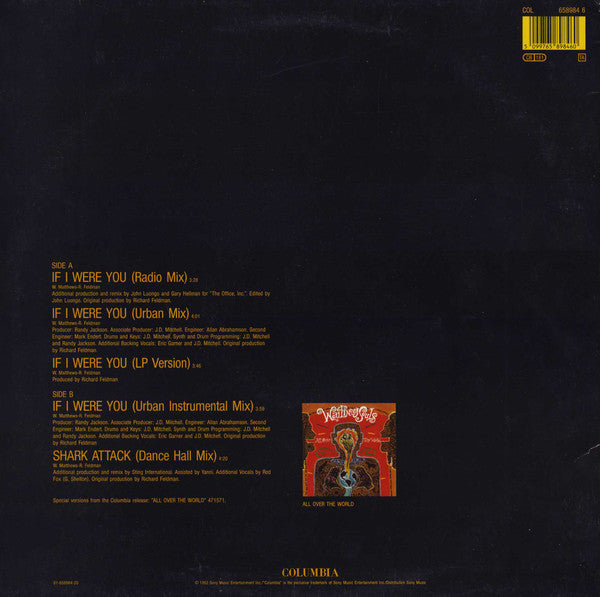 Wailing Souls : If I Were You (12", Maxi)