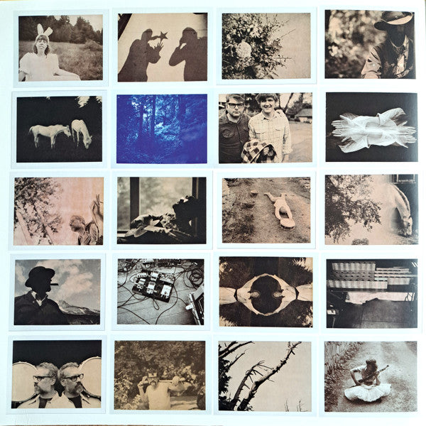 The Decemberists : The King Is Dead (LP, Album)