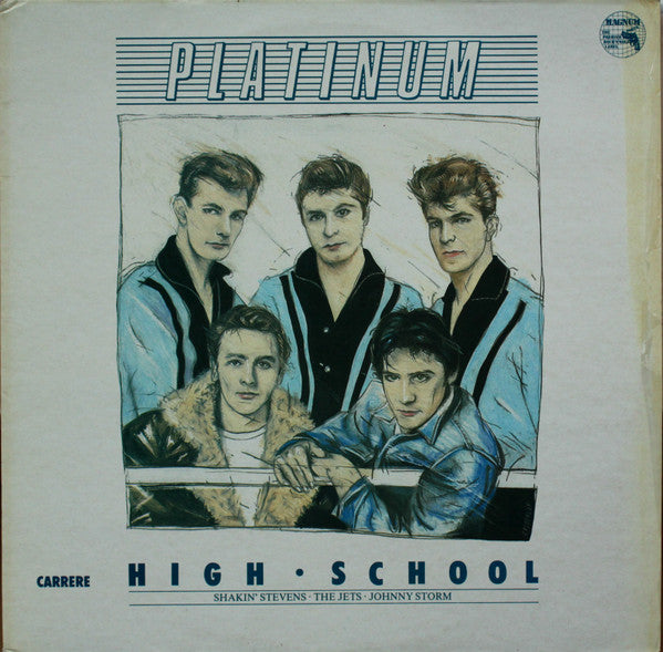 Various : Platinum High School (LP, Comp)