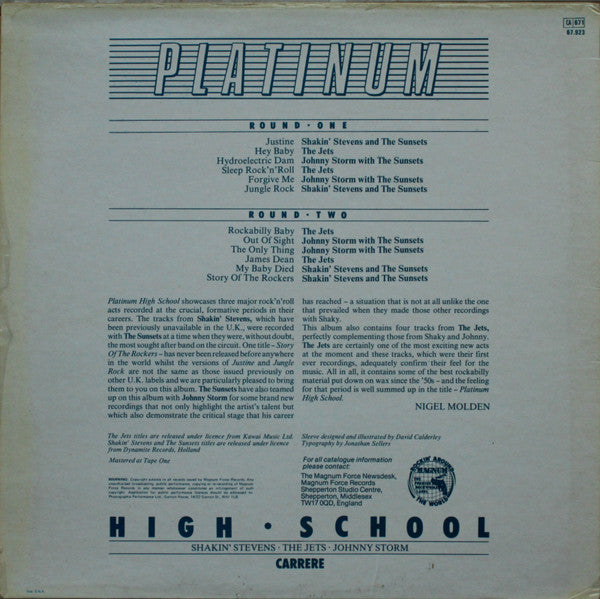 Various : Platinum High School (LP, Comp)