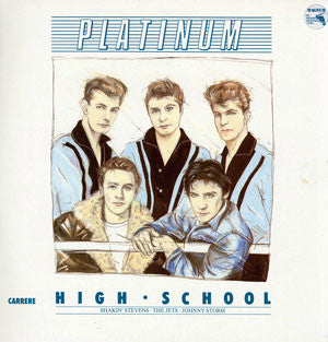 Various : Platinum High School (LP, Comp)