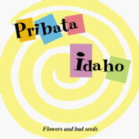 The Pribata Idaho : Flowers And Bad Seeds (7", Single, Whi)
