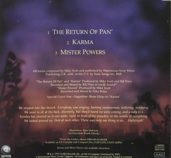 The Waterboys : The Return Of Pan (CD, Maxi)