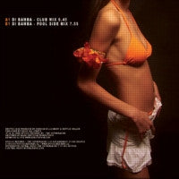 Born To Funk Ft. Mgulu Shemebé : Di Bamba! (12", Ora)