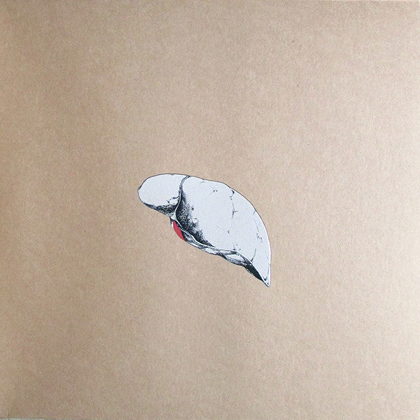 Swans : The Beggar (2xLP, Album)