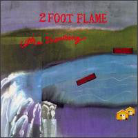 2 Foot Flame : Ultra Drowning (CD, Album)