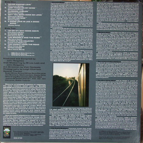 Various : Silver Meteor: A Progressive Country Anthology (LP, Comp)