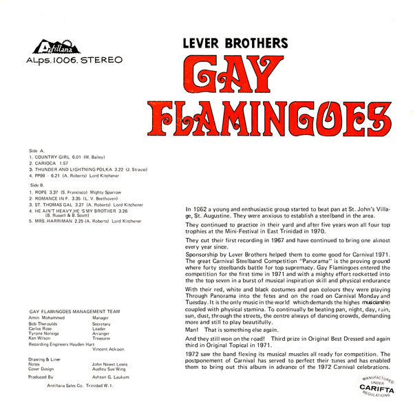 Gay Flamingoes : Gay Flamingoes (LP)