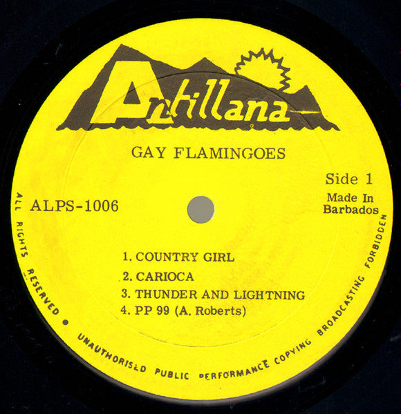 Gay Flamingoes : Gay Flamingoes (LP)