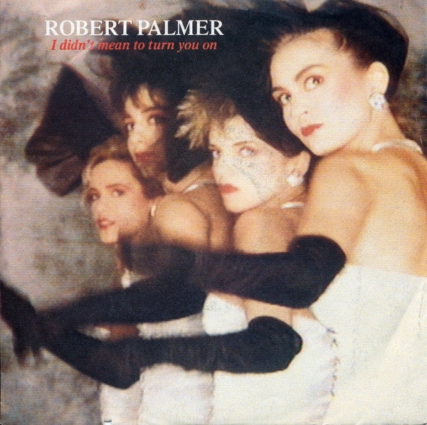 Robert Palmer : I Didn't Mean To Turn You On (7", Single)