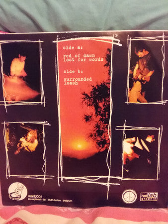 Cast-Down : These Autumnal Tints (7", EP)