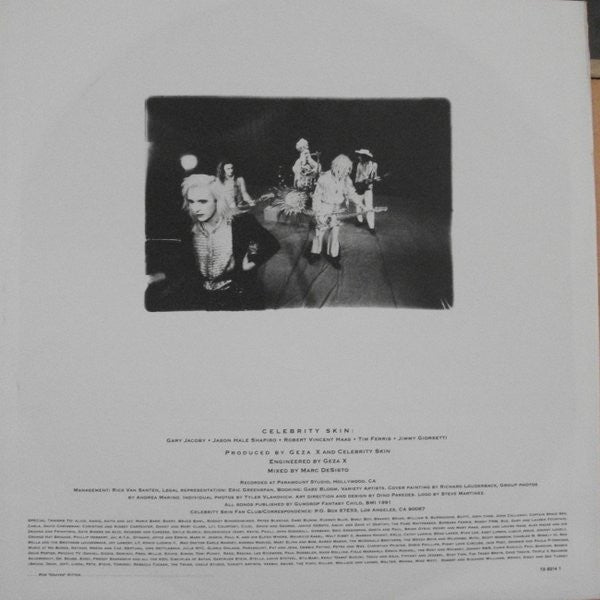 Celebrity Skin : Good Clean Fun (LP, Album)