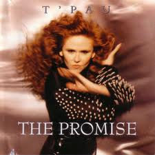 T'Pau : The Promise (CD, Album)