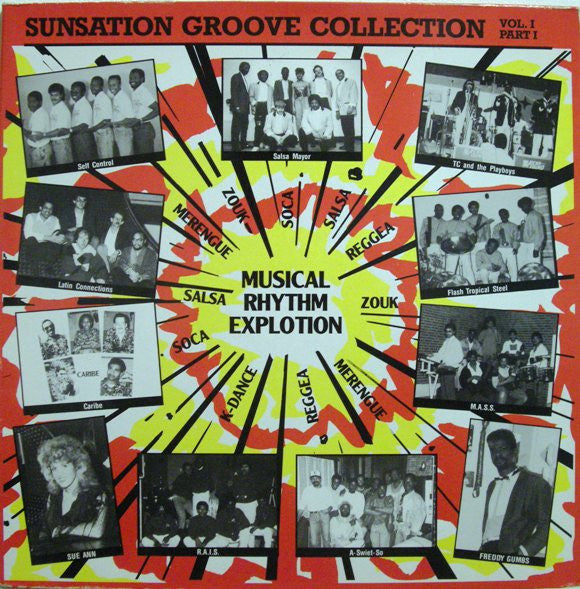 Various : Sunsation Groove Collection Vol. 1 (LP, Comp)