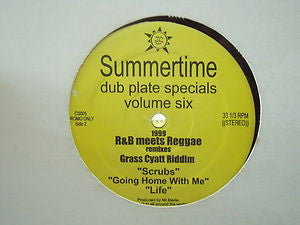 Mr. Merle : Dub Plate Specials Volume Six: 1999 R&B Meets Reggae Remixes (12")