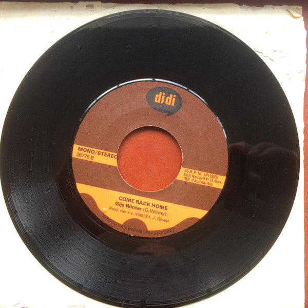 Gijs Winter : Power To The Suriname-People (7", Single)