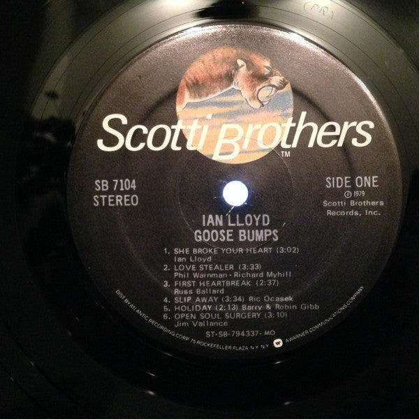 Ian Lloyd : Goose Bumps (LP, Album, Mon)