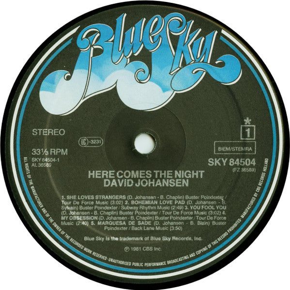 David Johansen : Here Comes The Night (LP, Album)