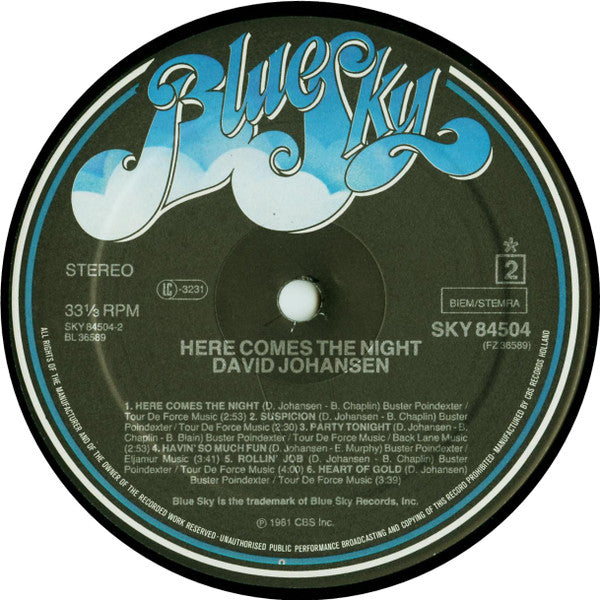 David Johansen : Here Comes The Night (LP, Album)