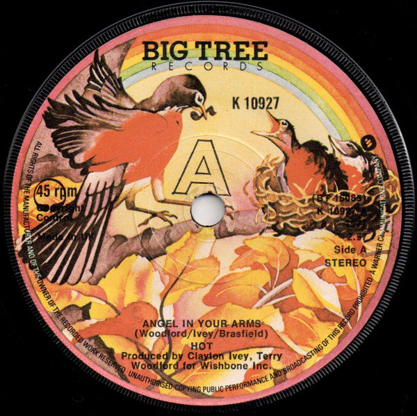 Hot : Angel In Your Arms (7", Single)