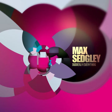 Max Sedgley : Suddenly Everything (CD, Album)