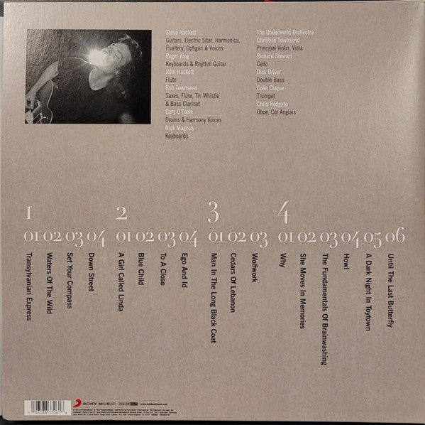 Steve Hackett : Wild Orchids (2xLP, Album, RE, 180)