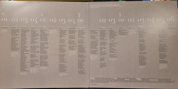 Steve Hackett : Wild Orchids (2xLP, Album, RE, 180)