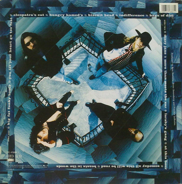 Spin Doctors : Turn It Upside Down (LP, Album)