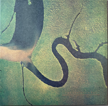 Dead Can Dance : The Serpent's Egg (LP, Album, RE)