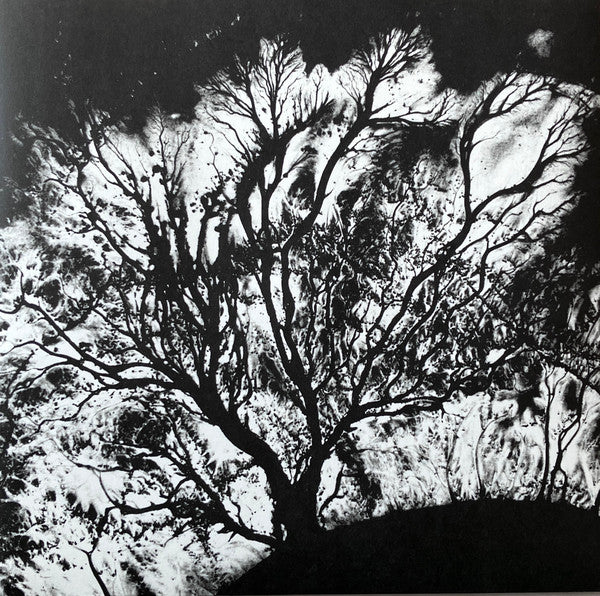 Dead Can Dance : The Serpent's Egg (LP, Album, RE)
