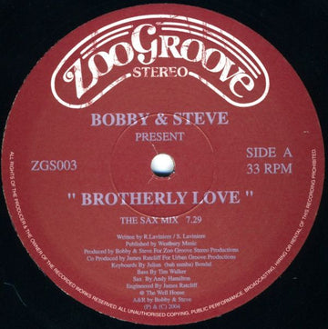 Bobby & Steve* : Brotherly Love (12")