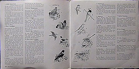 John Kirby (4) : Listen The Birds 11 = Hoor De Vogels 11 (7", RP)