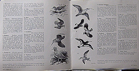 John Kirby (4) : Listen The Birds 8 = Hoor De Vogels 8 (7", EP, RP)