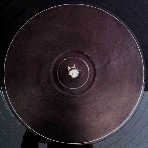 Fierce • Nico (4) : Input (12", Ltd)