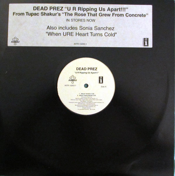 Dead Prez : U R Ripping Us Apart!!! (12", Promo)