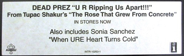 Dead Prez : U R Ripping Us Apart!!! (12", Promo)