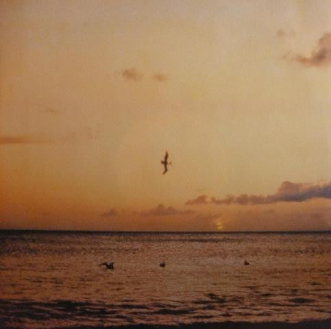 Sheena Easton : Madness, Money And Music (LP, Album)