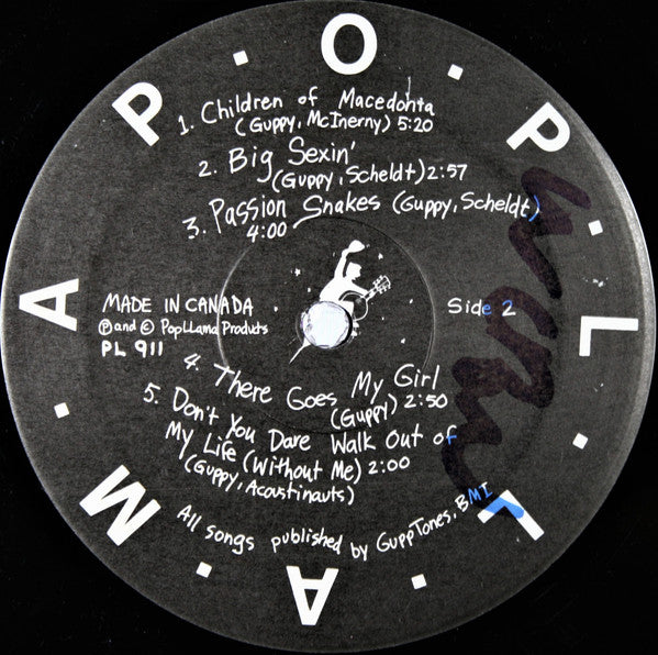 Acoustinauts : Inhale Einstein (LP)