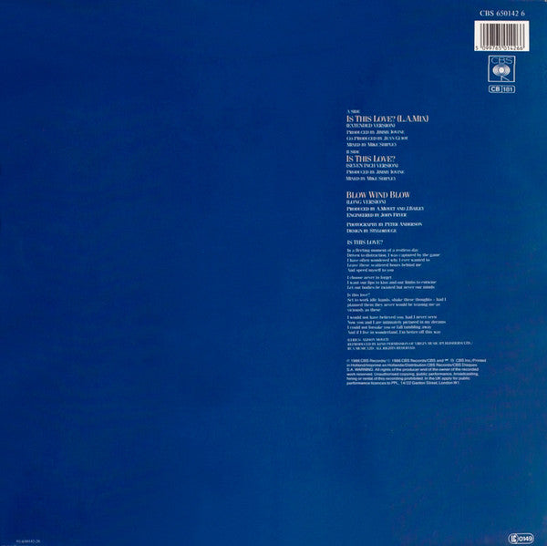 Alison Moyet : Is This Love? (12", Maxi)