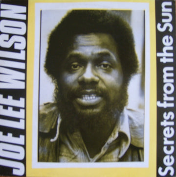 Joe Lee Wilson : Secrets From The Sun (LP, Album)